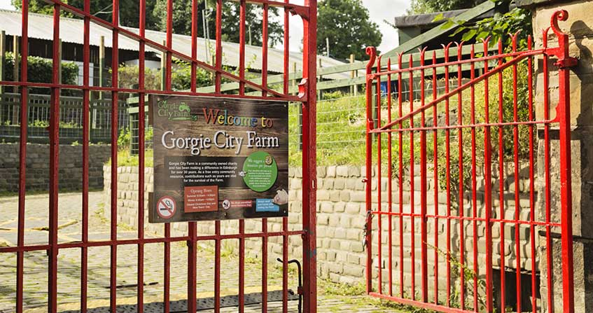 granja gorgie en edimburgo