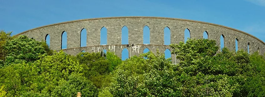 Torre McCaig