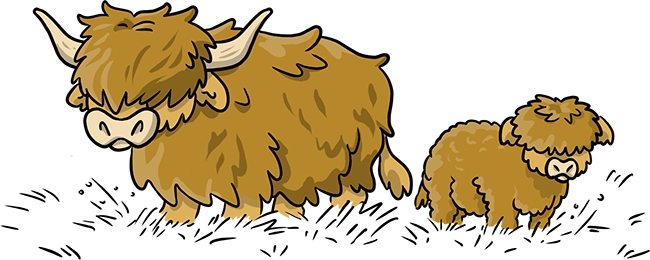ilustración vacas