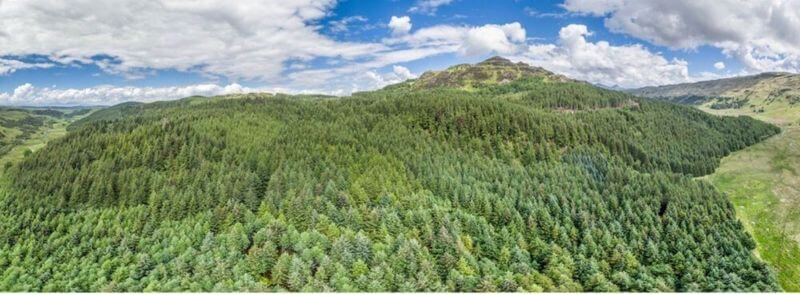argyll-forest-escocia Vista del bosque de Argyll en el Parque Nacional del Lago Lomond y los Trossachs en Escocia