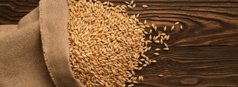 cebada-cerveza-escocia Saco de cebada para la elaboración de una cerveza