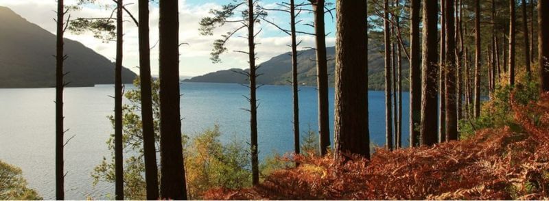 Vista del loch Lomond en las Lowlands o Tierras Bajas de Escocia