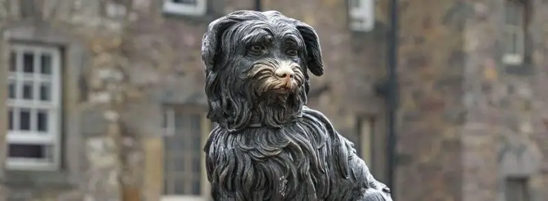 perro-bobby-cementerio-greyfriars-edimburgo-escocia Estatua del perro Bobby en el Cementerio de Greyfriars en Edimburgo, Escocia