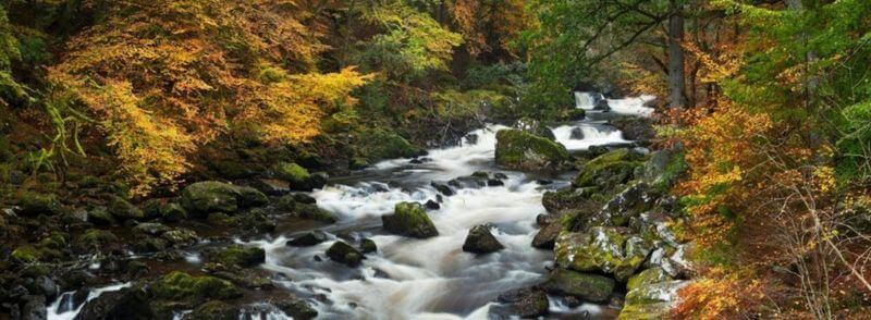 rio-the-hermitage-dunkeld-escocia Río en el bosque The Hermitage en Escocia