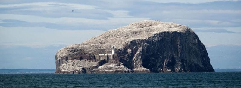roca-bass-rock-isla-firth-of-forth-escocia Roca Bass o Bass Rock en Escocia