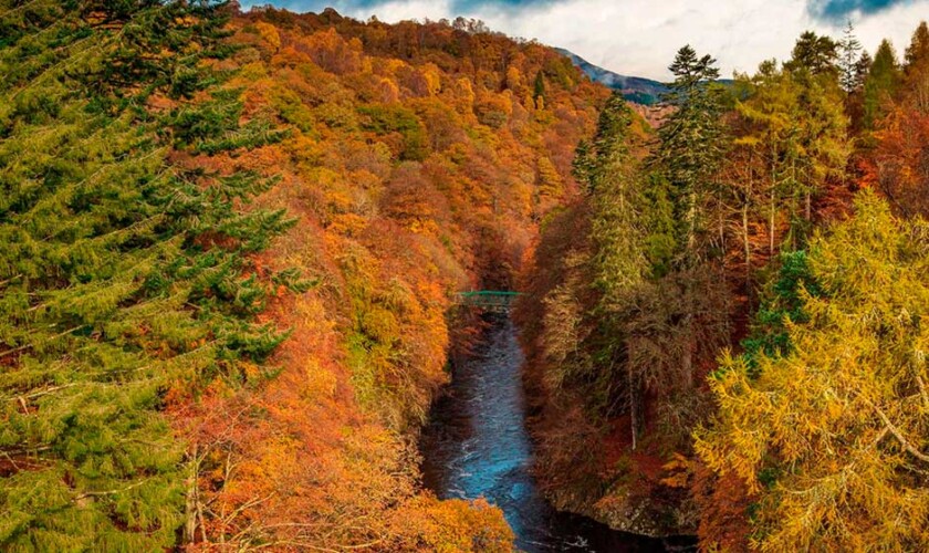 Bosque de Pitlochry