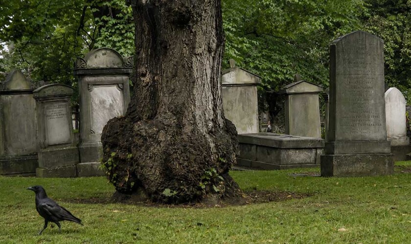 Free tour de los fantasmas misterios y brujas de Edimburgo