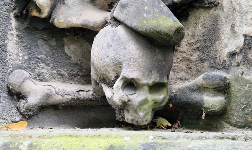 Calavera del free tour de los fantasmas